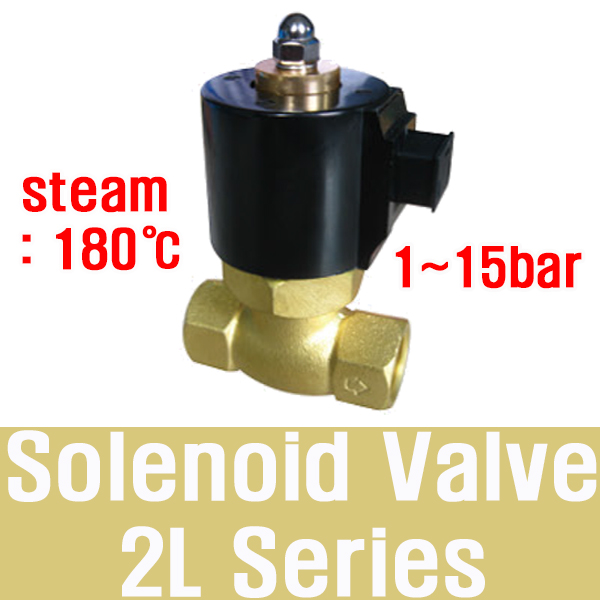 2L SERIES STEAM VALVE 1/2 220VAC