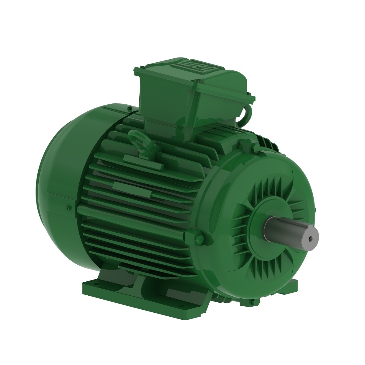 W22 1.1 kW 2P P80 S19 230/400 50Hz B3T IP66 IE3