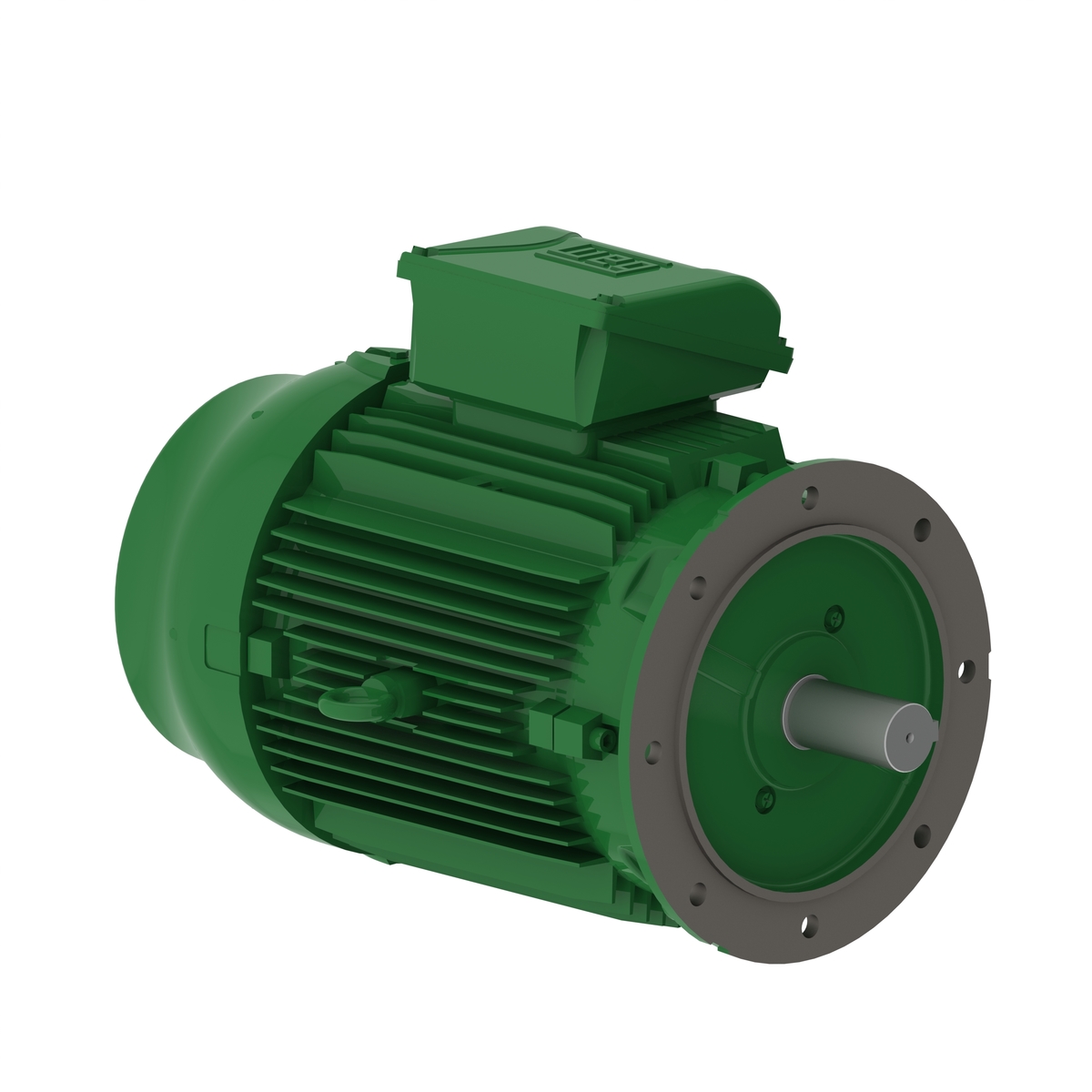W22 0.25 kW 6P P80 S19 230/400 50Hz B5R IP66 IE3